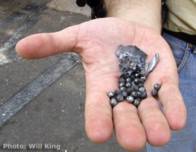 Shrapnel from inside a Katusha rocket in Haifa